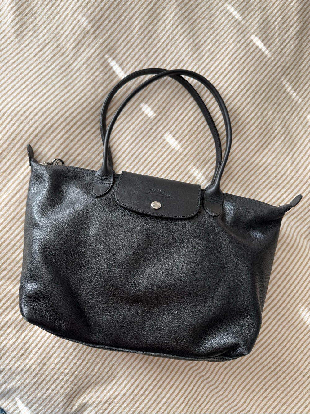 Longchamp Le Pilage Leather M Tote Bag
